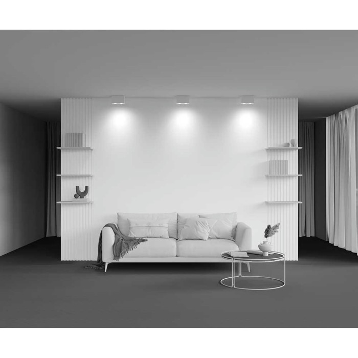 Потолочный светильник Maytoni Technical Atom C017CL-02W