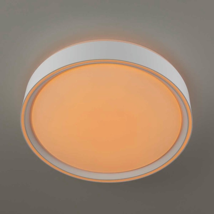 Потолочный светодиодный светильник Citilux Boss CL751250G