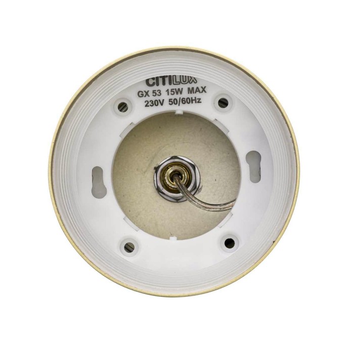 Подвесной светильник Citilux Hardy CL002P12