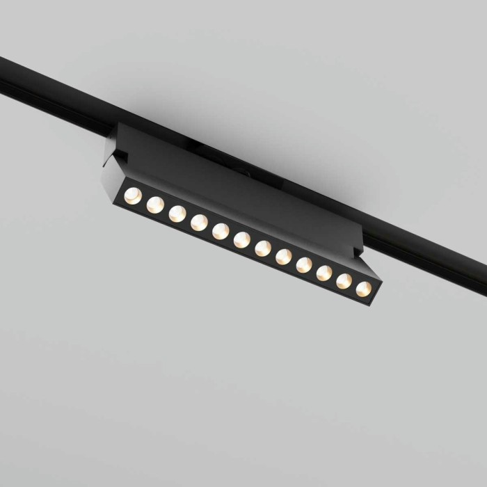 Трековый светильник Maytoni Technical TR224-1-12WCCT-M-B