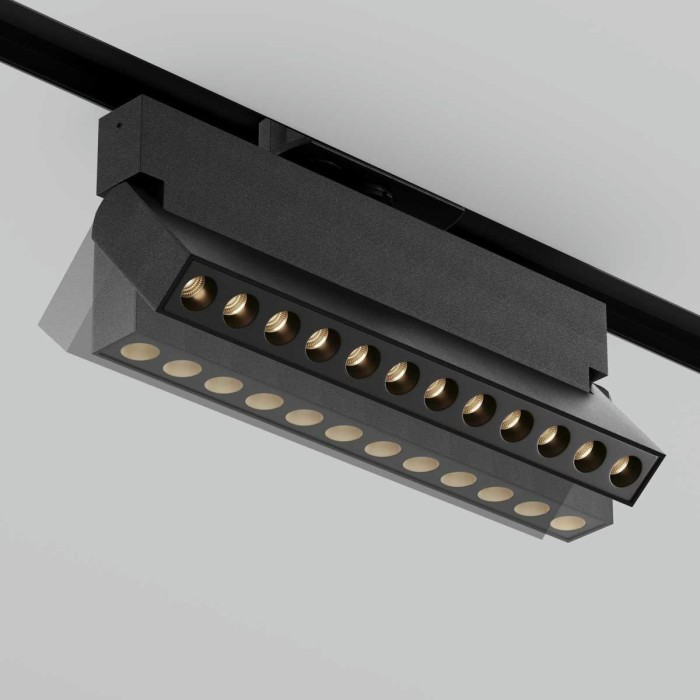 Трековый светильник Maytoni Technical TR224-1-12WCCT-M-B