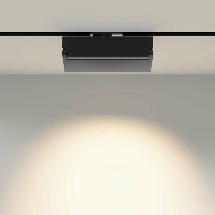 Трековый светильник Maytoni Technical TR224-1-12WCCT-M-B