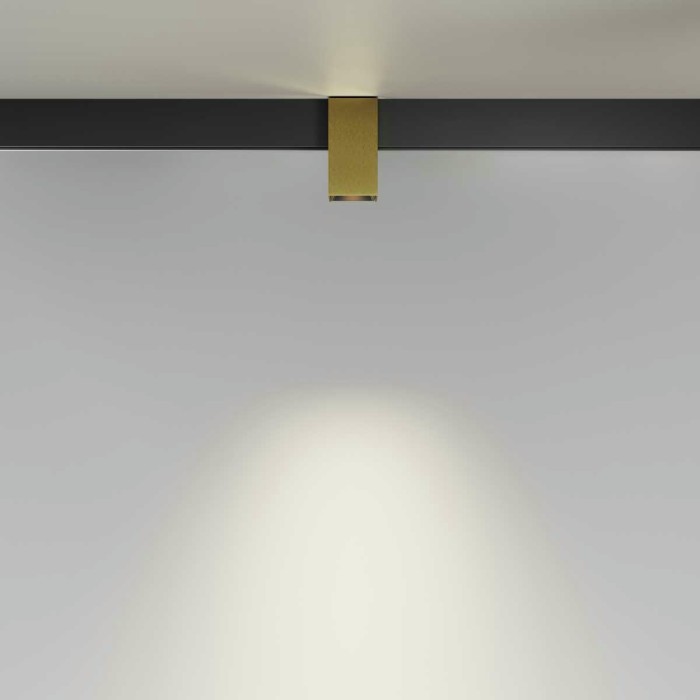 Трековый светильник Maytoni Technical TR121-4-7W-DS-BS