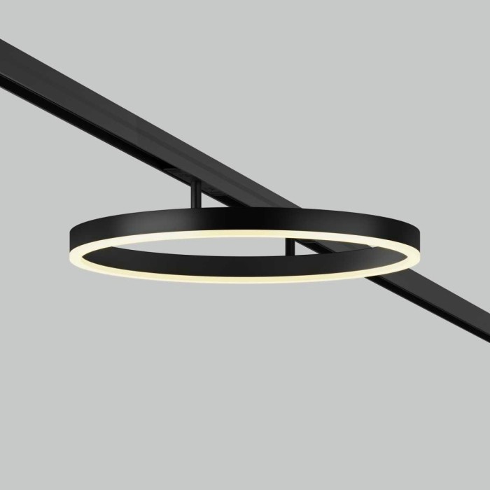 Трековый светильник Maytoni Technical TR227-2-24W3K-B