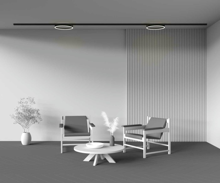 Трековый светильник Maytoni Technical TR227-2-24W3K-B