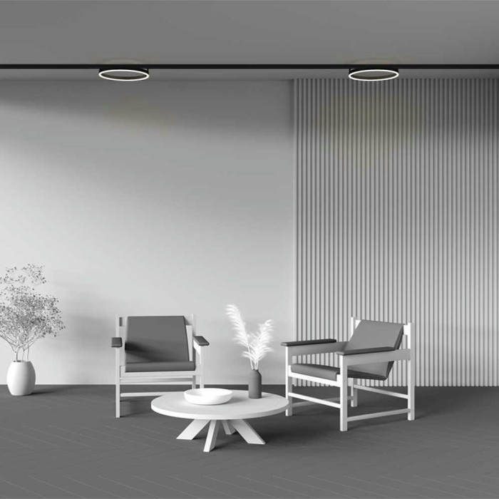 Трековый светильник Maytoni Technical TR227-2-24W3K-B