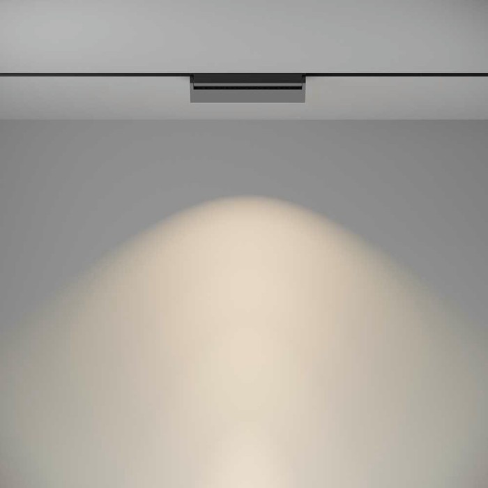 Трековый светодиодный светильник Maytoni Technical Basis Rot TR075-2-20W4K-B