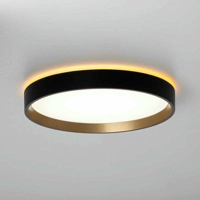 Потолочный светодиодный светильник Citilux Etalon CL750241