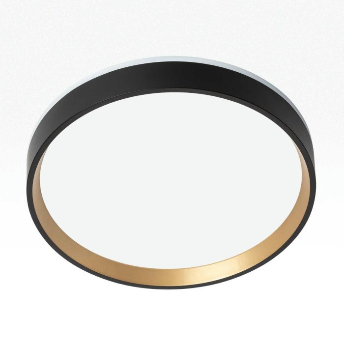 Потолочный светодиодный светильник Citilux Etalon CL750241