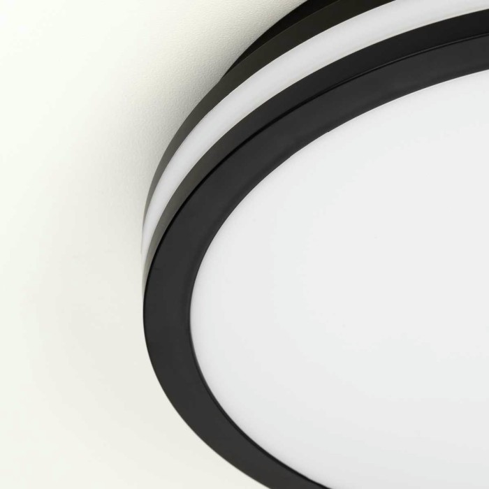 Светильник накладной Citilux LUNS CL711021V