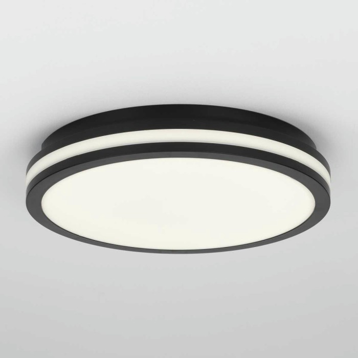 Светильник накладной Citilux LUNS CL711021V