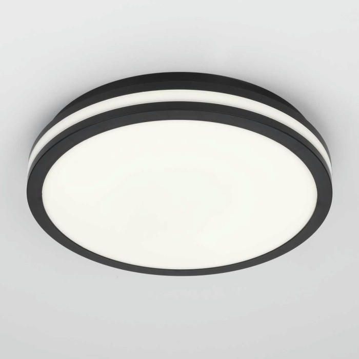 Светильник накладной Citilux LUNS CL711021V