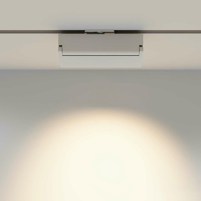 Трековый светильник Maytoni Technical TR223-1-12WCCT-W-W