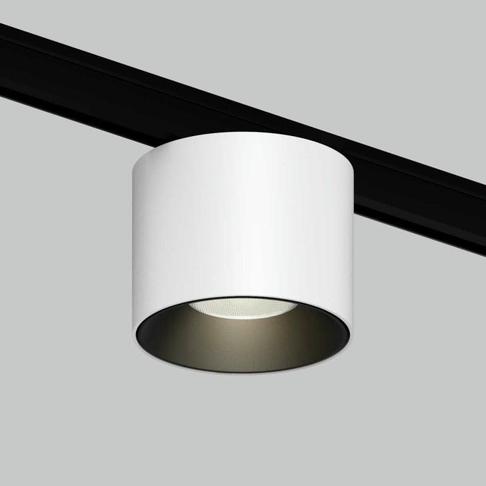 Трековый светильник Maytoni Technical Alfa S TR188-1-5W4K-M-BW