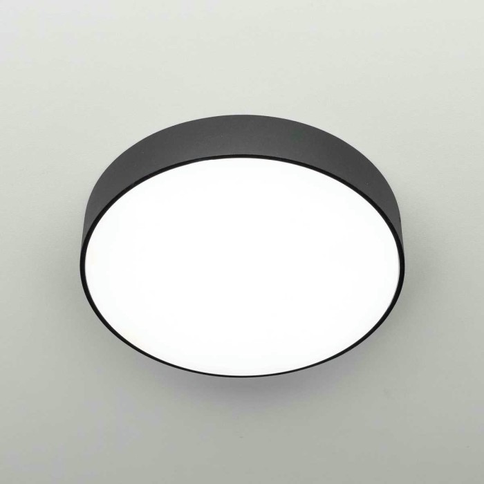 Накладной светодиодный светильник Citilux Тао CL712242N