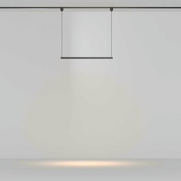 Трековый подвесной светильник Maytoni Technical TR169-1-26W3K-M-B