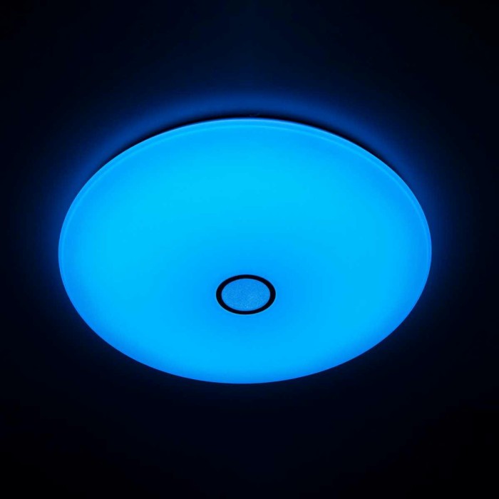 Потолочный светодиодный светильник Citilux Старлайт Смарт CL703A201G