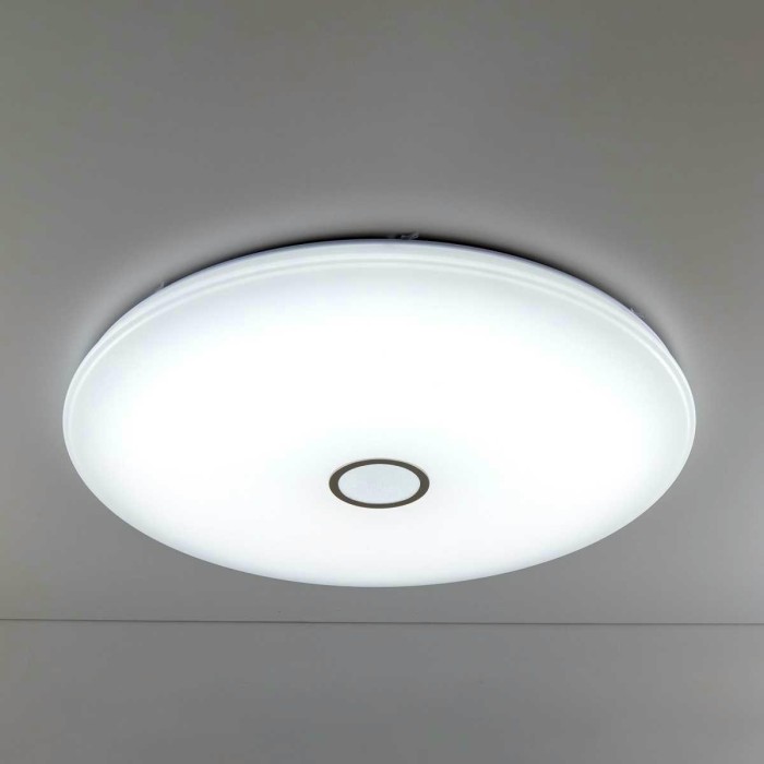 Потолочный светодиодный светильник Citilux Старлайт Смарт CL703A201G