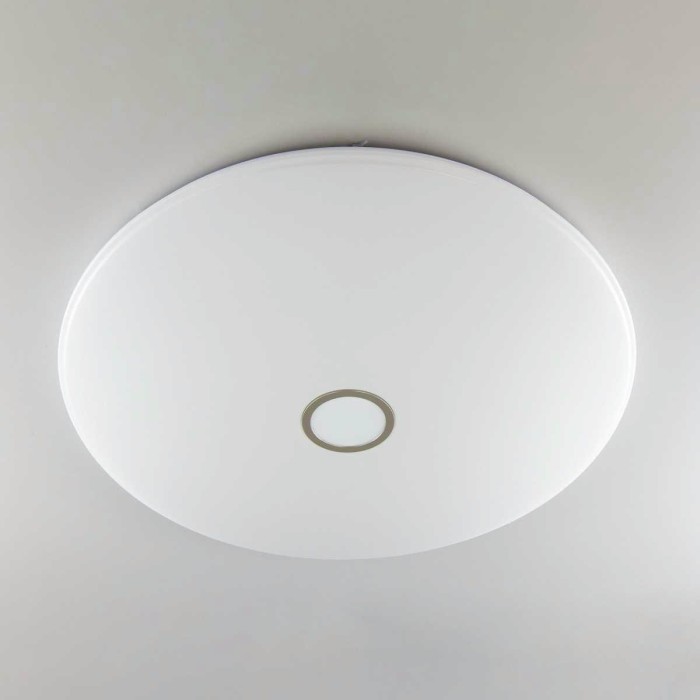 Потолочный светодиодный светильник Citilux Старлайт Смарт CL703A201G