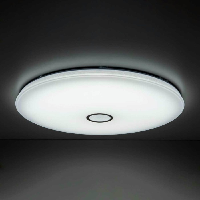 Потолочный светодиодный светильник Citilux Старлайт Смарт CL703A201G