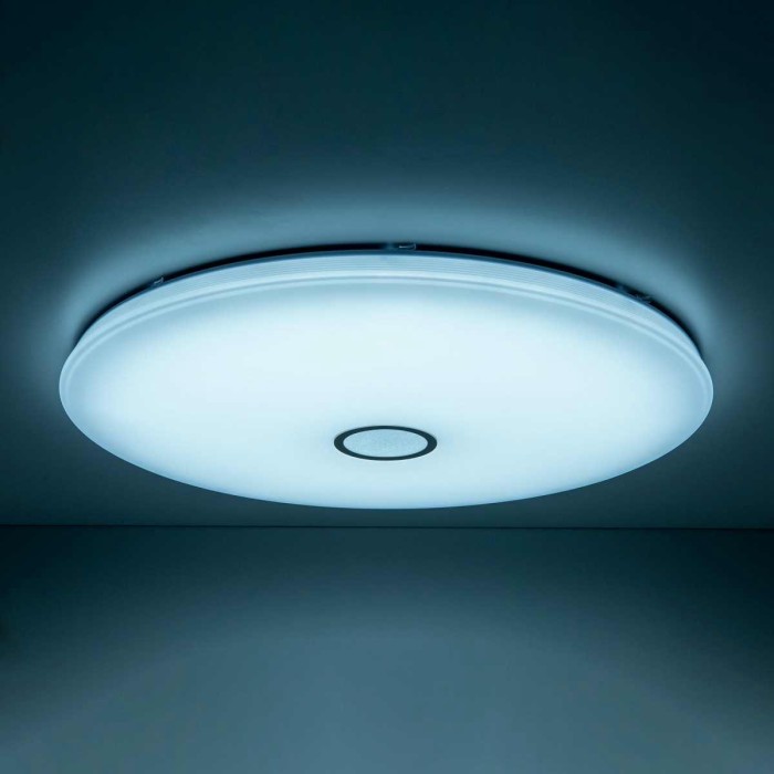 Потолочный светодиодный светильник Citilux Старлайт Смарт CL703A201G