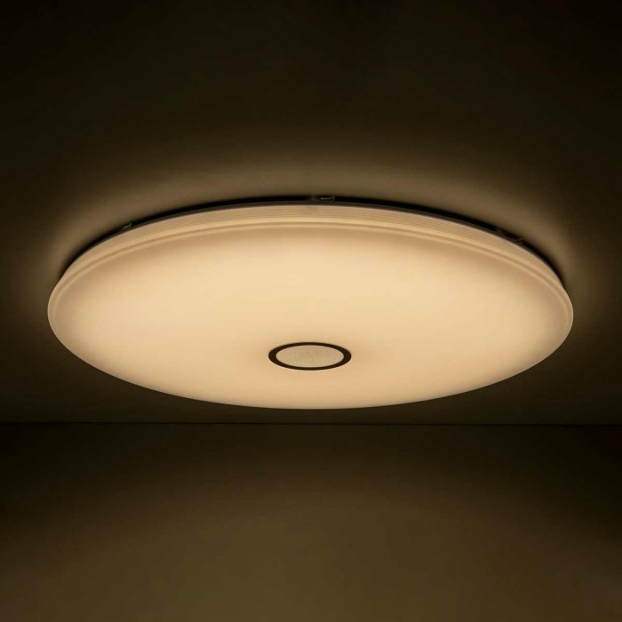 Потолочный светодиодный светильник Citilux Старлайт Смарт CL703A201G