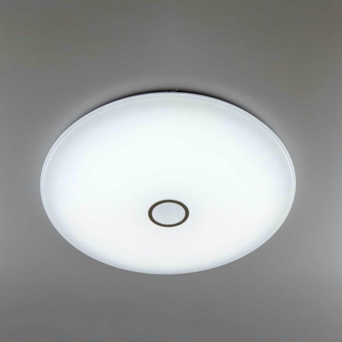 Потолочный светодиодный светильник Citilux Старлайт Смарт CL703A201G