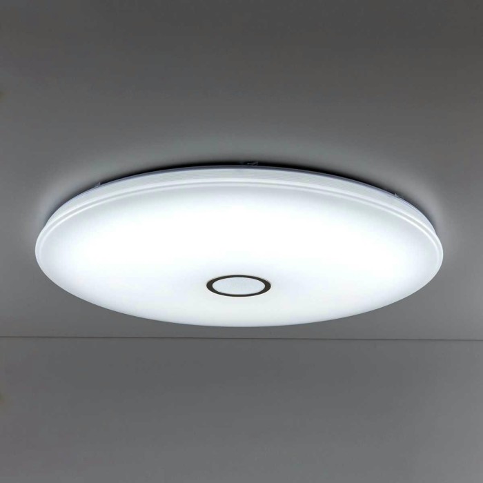 Потолочный светодиодный светильник Citilux Старлайт Смарт CL703A201G