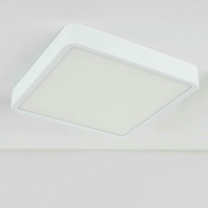 Потолочный светодиодный светильник Elektrostandard DLS034 18W 4200K a043017