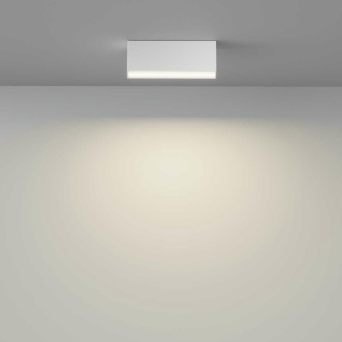 Потолочный светильник Maytoni Technical Basis C068CL-12W3-6K-W