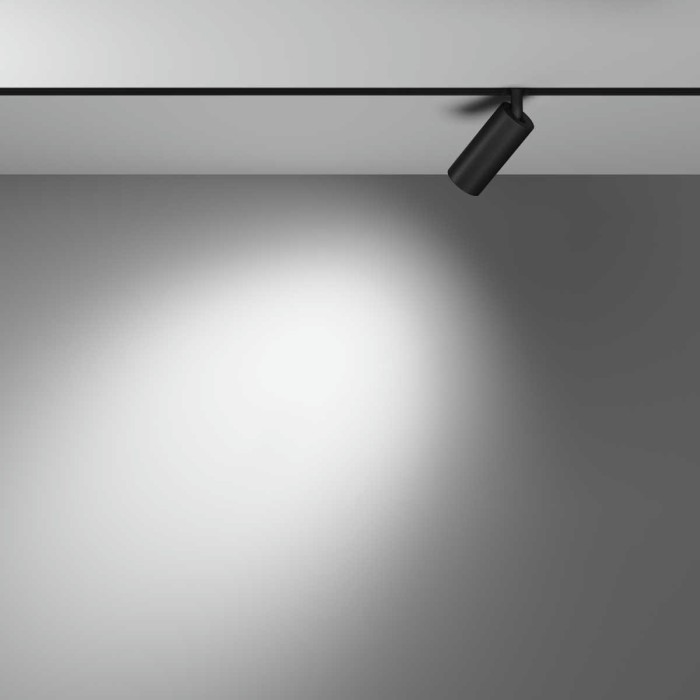 Трековый светильник Maytoni Technical TR032-4-5WTW-M-DSZ-B