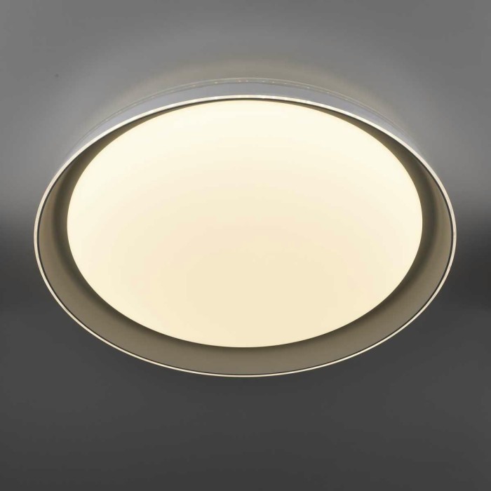 Потолочный светодиодный светильник Citilux Mega CL752451G