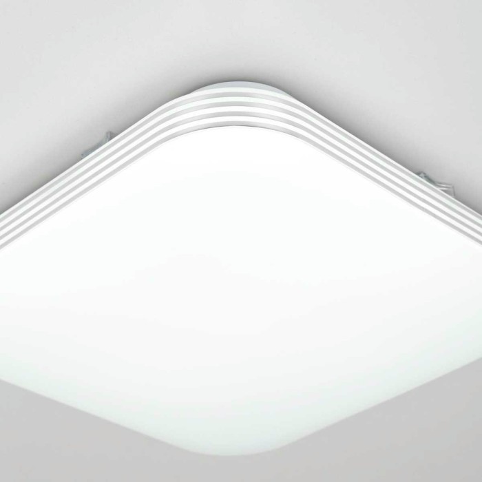 Потолочный светодиодный светильник Citilux Симпла CL714K24SV