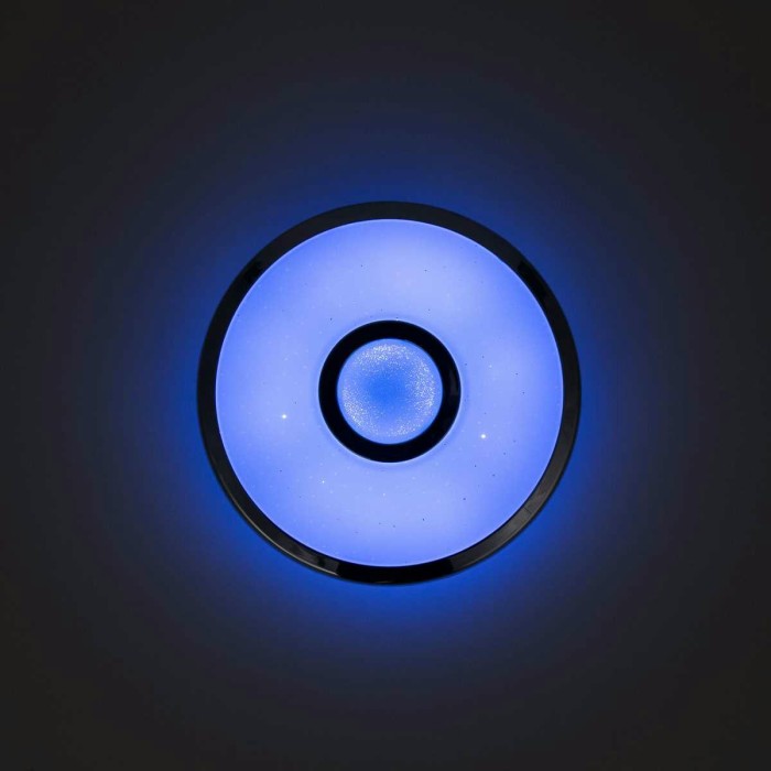 Потолочный светодиодный светильник Citilux Старлайт Смарт CL703A15G