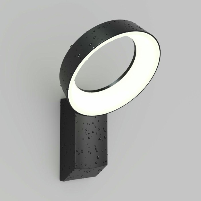 Уличный настенный светодиодный светильник Denkirs Sanvik DK9712-BK