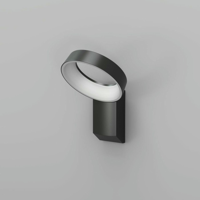 Уличный настенный светодиодный светильник Denkirs Sanvik DK9712-BK