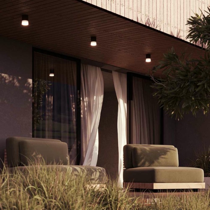 Потолочный светильник Maytoni Outdoor O499CL-L5B3K