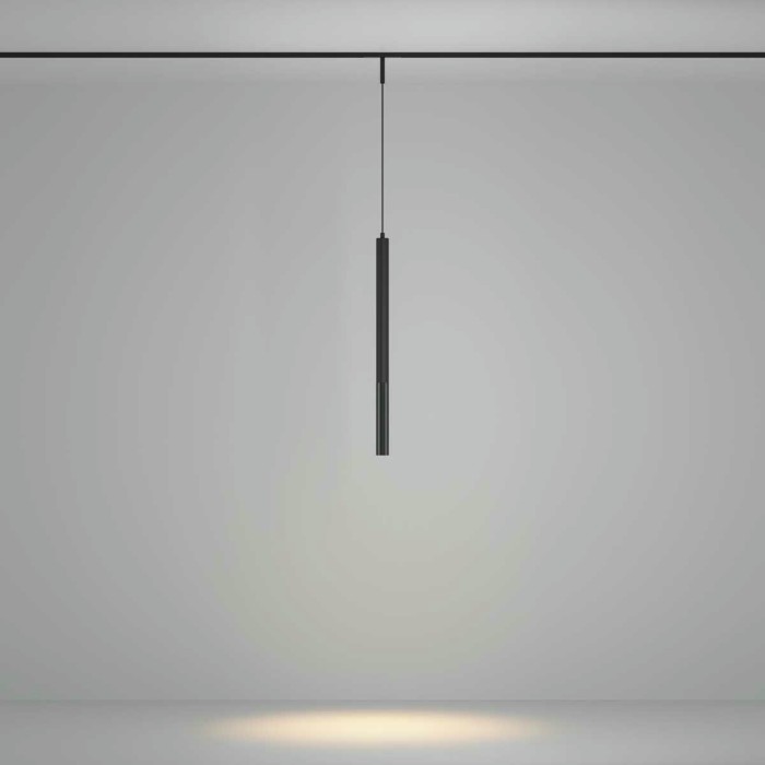 Трековый подвесной светильник Maytoni Technical TR179-1-5WTW-M-B