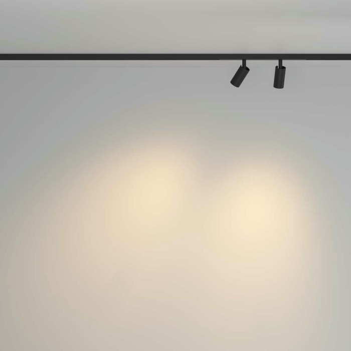 Трековый светильник Maytoni Technical TR176-1-2X3WTW-M-B