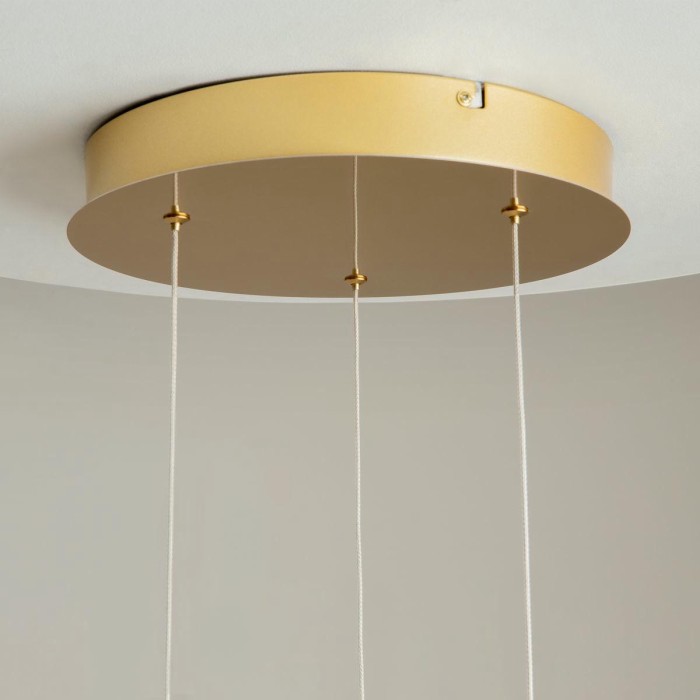 Подвесная светодиодная люстра Maytoni Foresight MOD347PL-L24BS3K