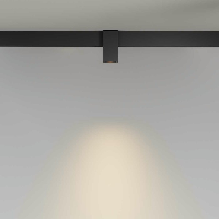 Трековый светильник Maytoni Technical TR121-2-7W3K-B