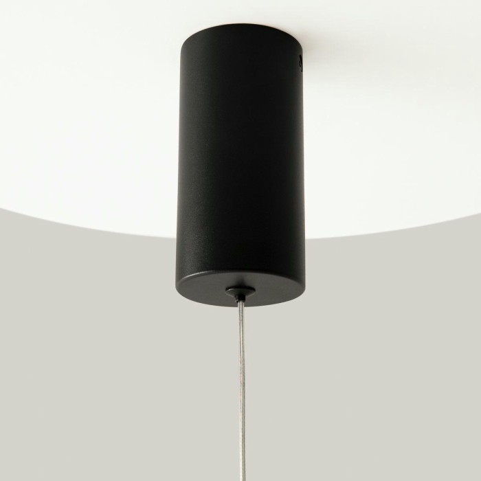 Подвесной светодиодный светильник Maytoni Pro Shade MOD157PL-L6BK