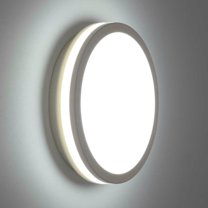 Светильник накладной Citilux LUNS CL711010V