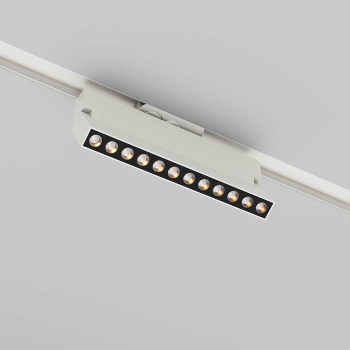 Трековый светильник Maytoni Technical TR224-1-12WCCT-M-W