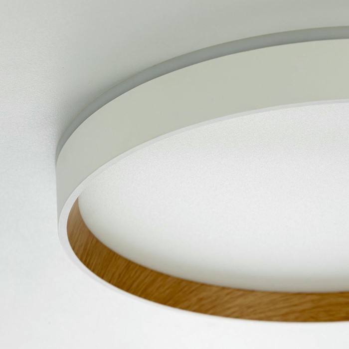 Потолочный светодиодный светильник Citilux Etalon CL750320R