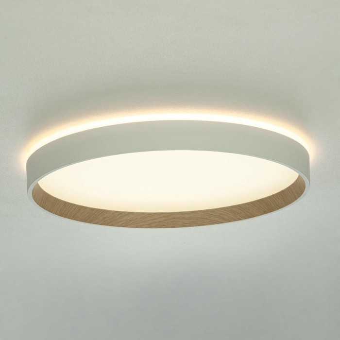 Потолочный светодиодный светильник Citilux Etalon CL750320R