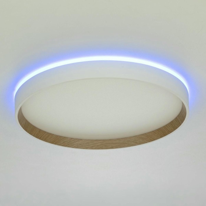 Потолочный светодиодный светильник Citilux Etalon CL750320R