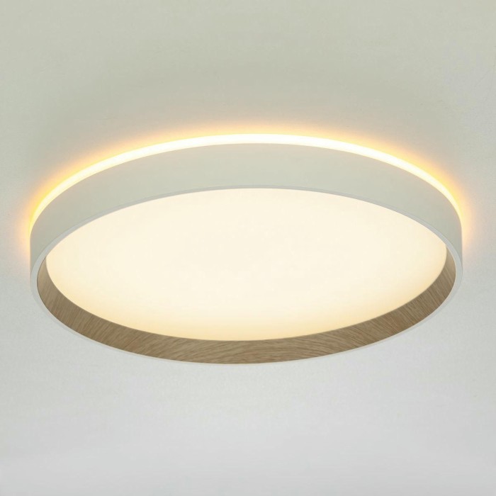 Потолочный светодиодный светильник Citilux Etalon CL750320R