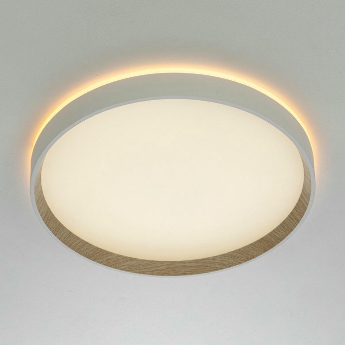 Потолочный светодиодный светильник Citilux Etalon CL750320R