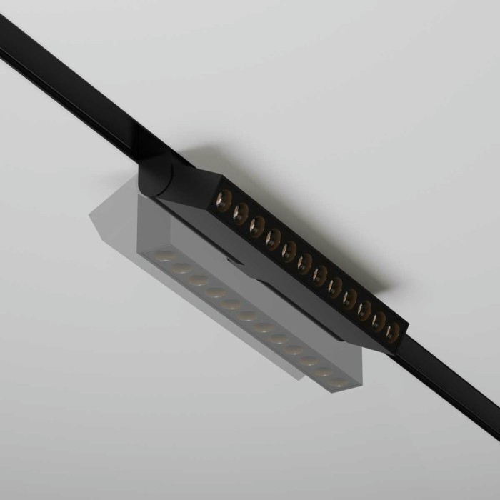 Трековый светильник Maytoni Technical Points rot TR033-2-12W2.7K-B